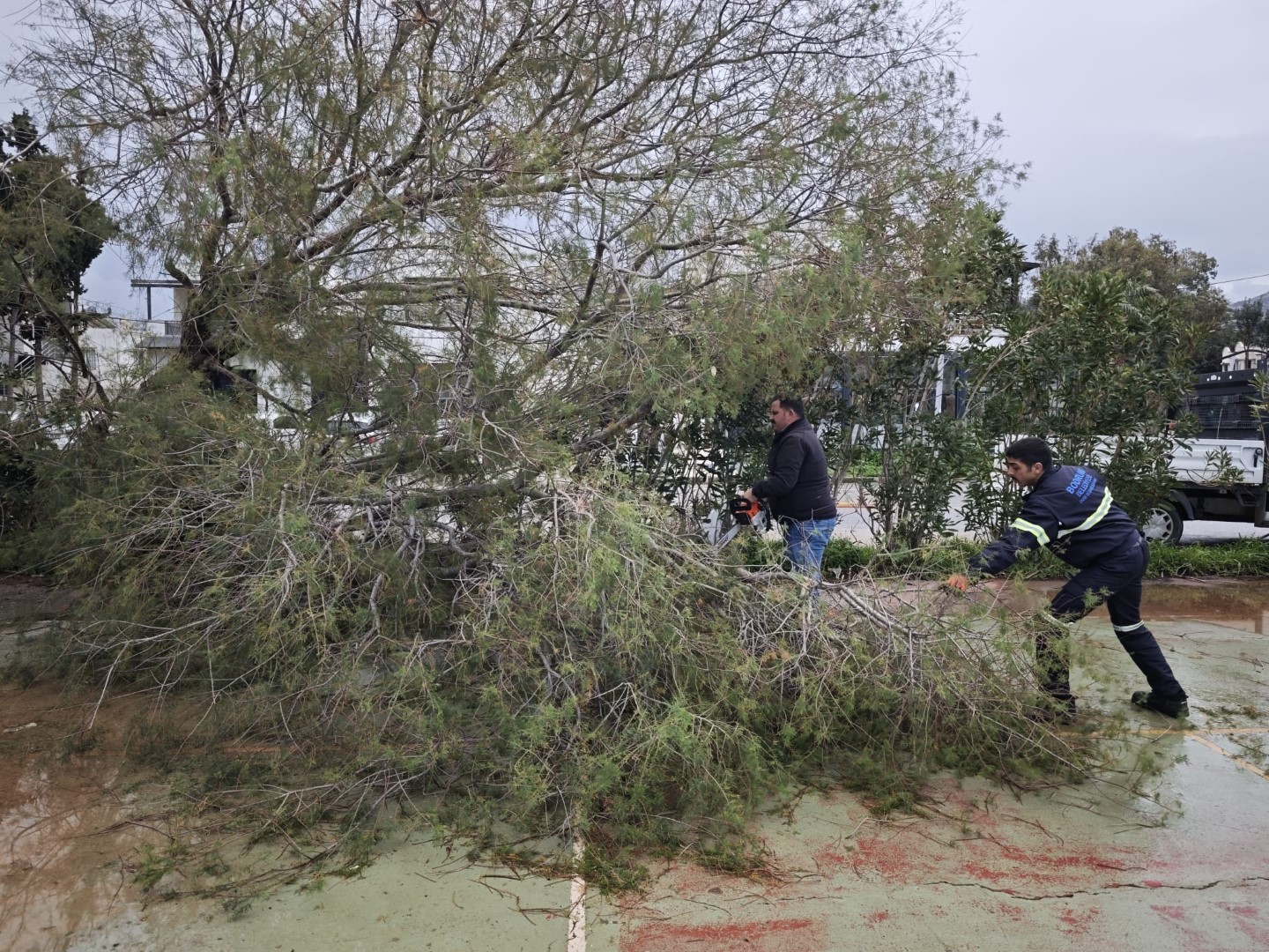 Belediye ekiplerinden fırtına ve yağış mesaisi
