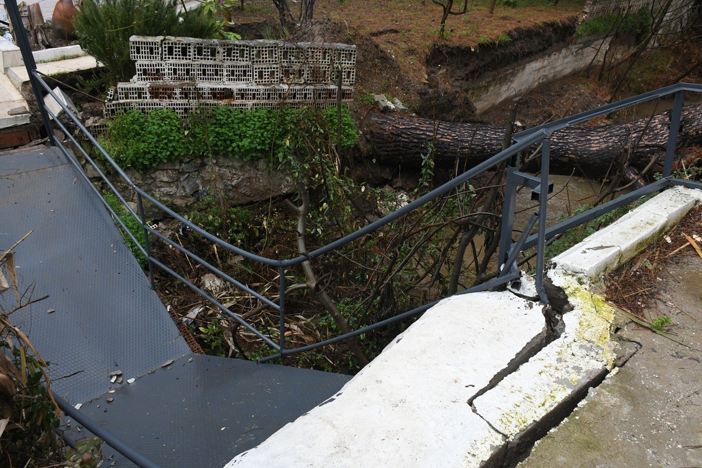 Kuşadası&rsquo;nda dereye devrilen &ccedil;am ağacı dere yatağını tıkadı, belediye ekipleri seferber oldu
