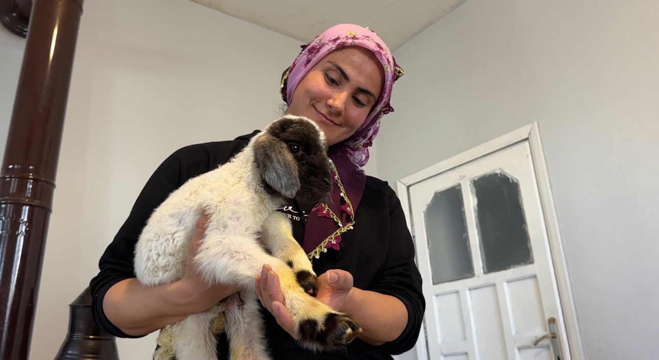 Annesiz kalan kuzu ailenin &lsquo;Umut&rsquo;u oldu
