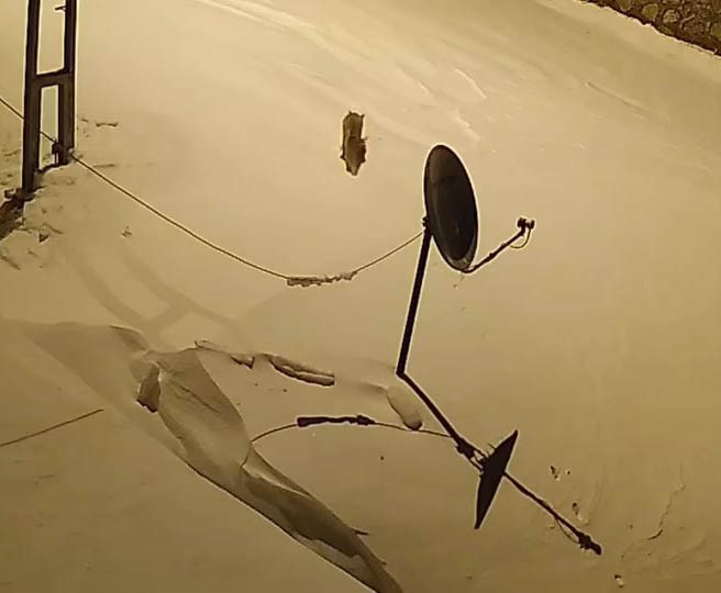 Elazığ&rsquo;da a&ccedil; kalan yaban hayvanları k&ouml;ye indi
