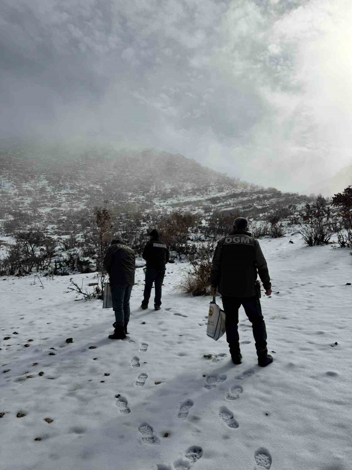 Dondurucu soğuklarda yaban hayata umut oldular