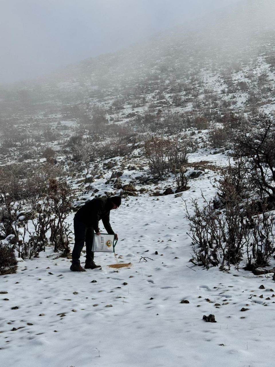 Dondurucu soğuklarda yaban hayata umut oldular
