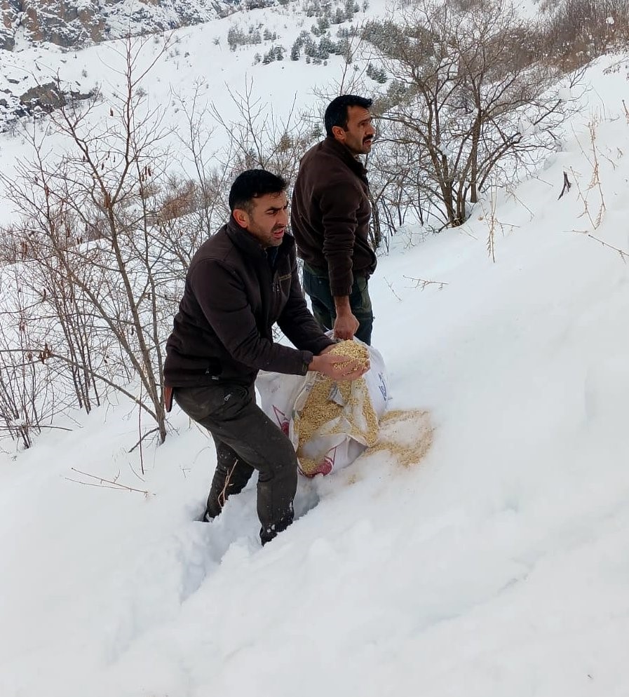 Kemah’ta yaban hayatı unutulmadı