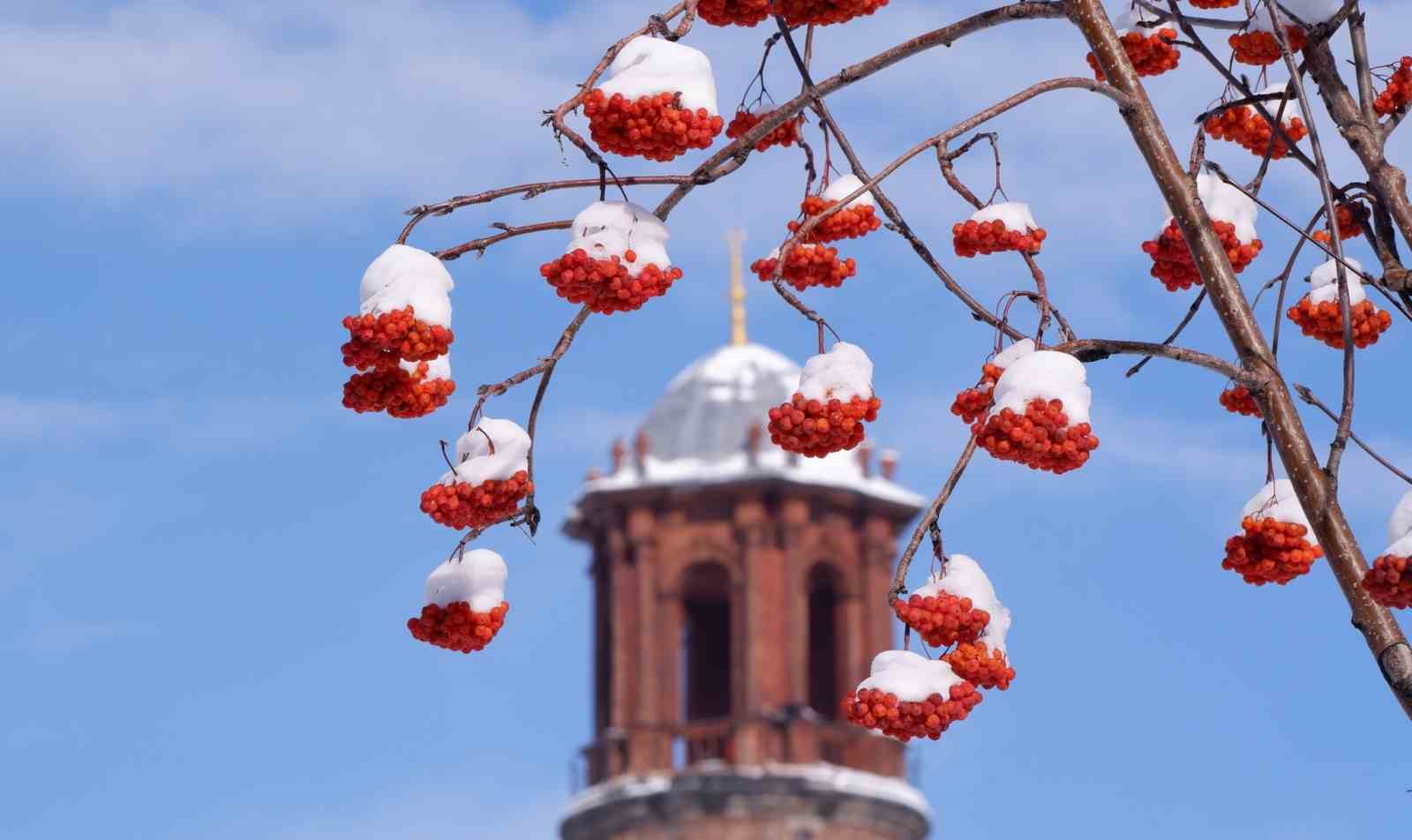 Buzlanma, don ve çığa dikkat