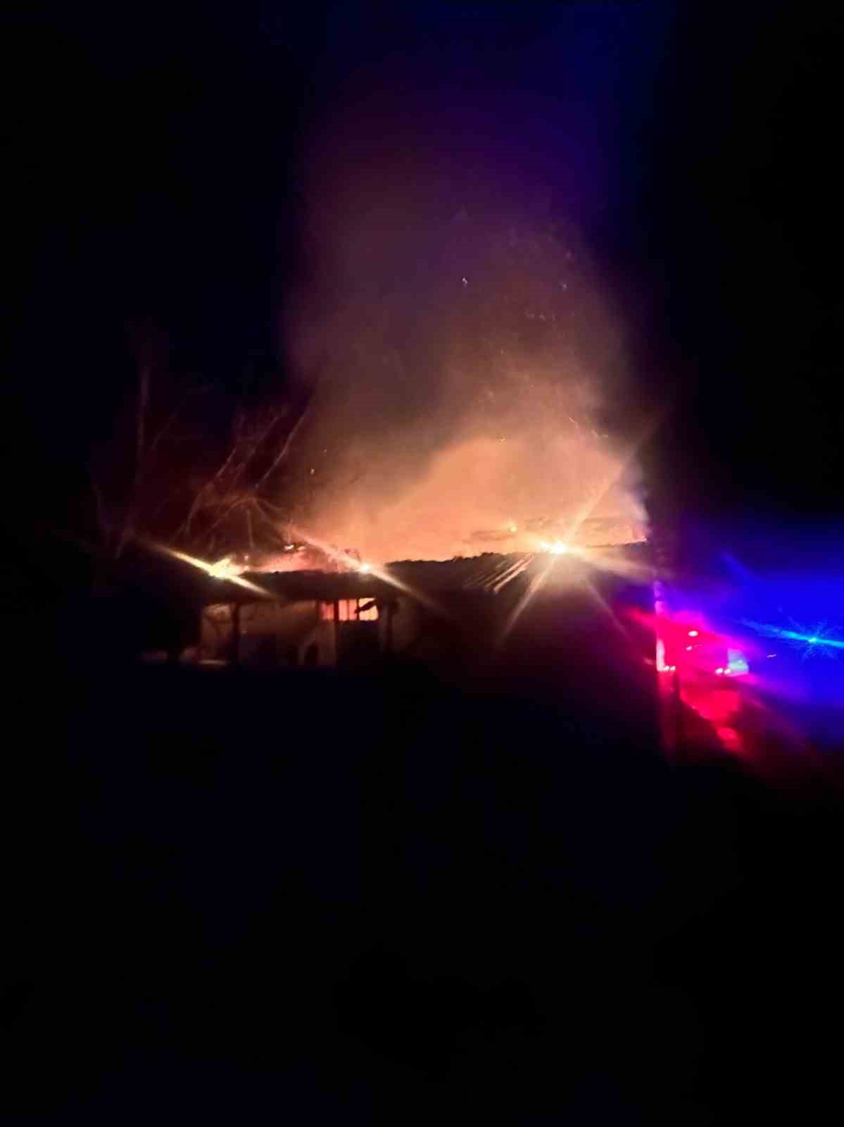 Bilecik’te korkutan yangın