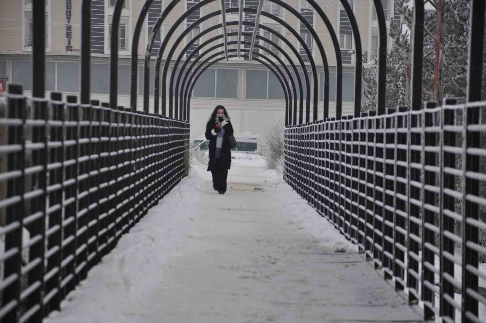 Kars’ta soğuktan ağaçlar kırağı tuttu
