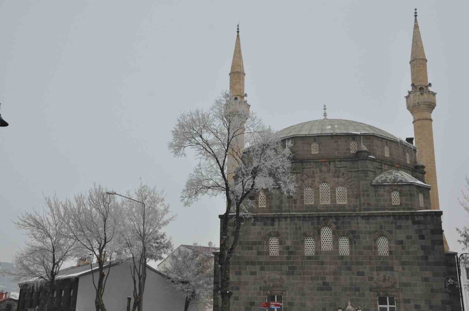 Kars&rsquo;ta soğuktan ağa&ccedil;lar kırağı tuttu
