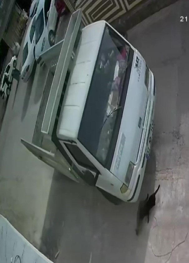 Kedi ezen s&uuml;r&uuml;c&uuml;ye hayvan barınağında &ccedil;alışma cezası
