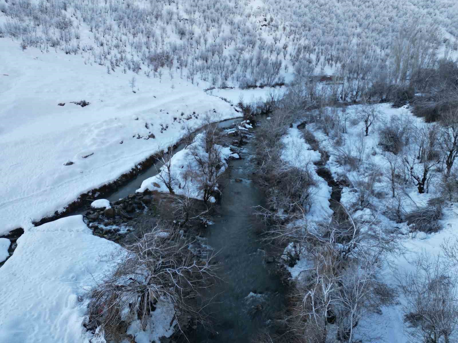 Şırnak’ta dereler buz tuttu