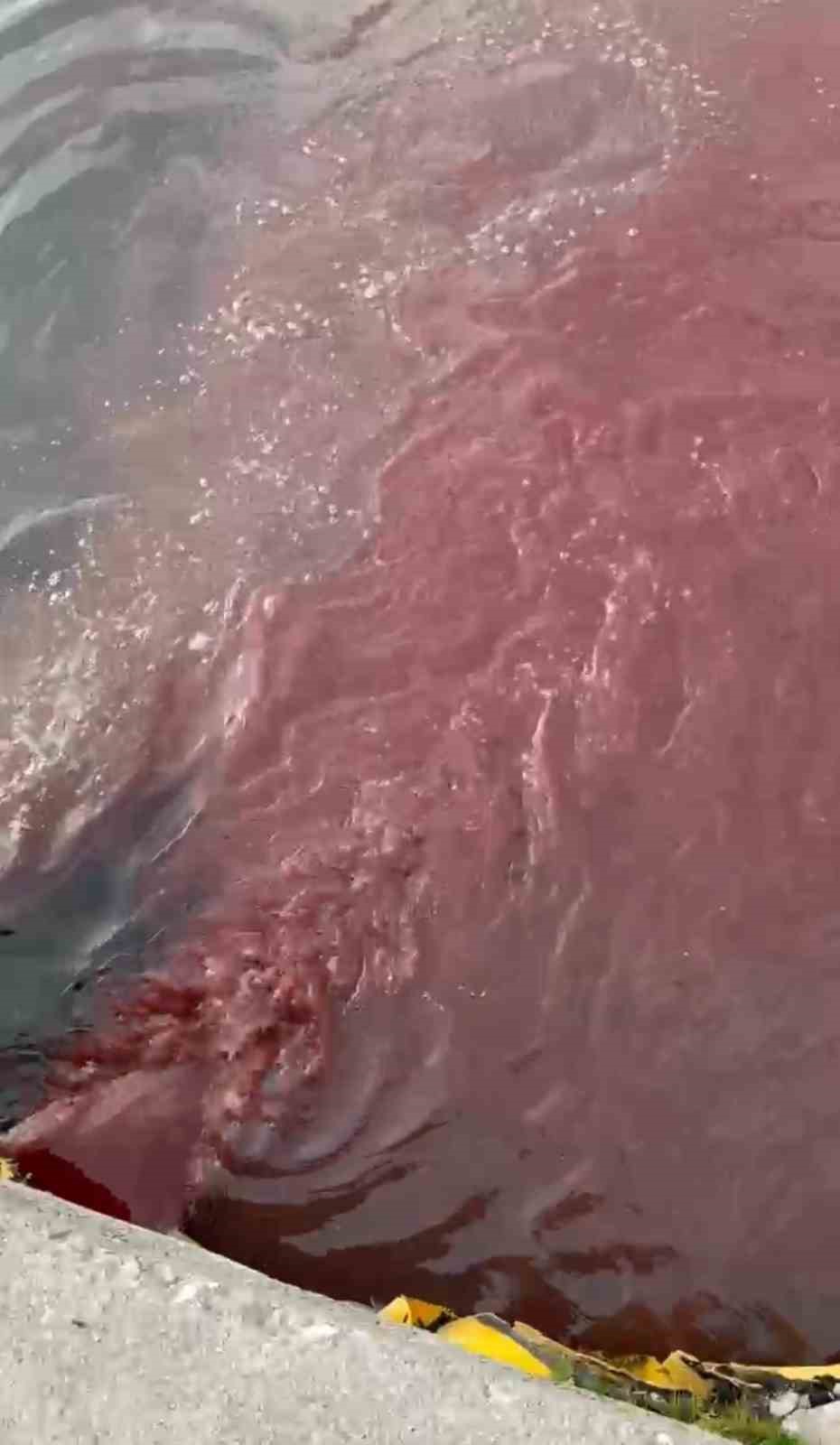 Bandırma’da deniz yüzeyi kırmızıya döndü