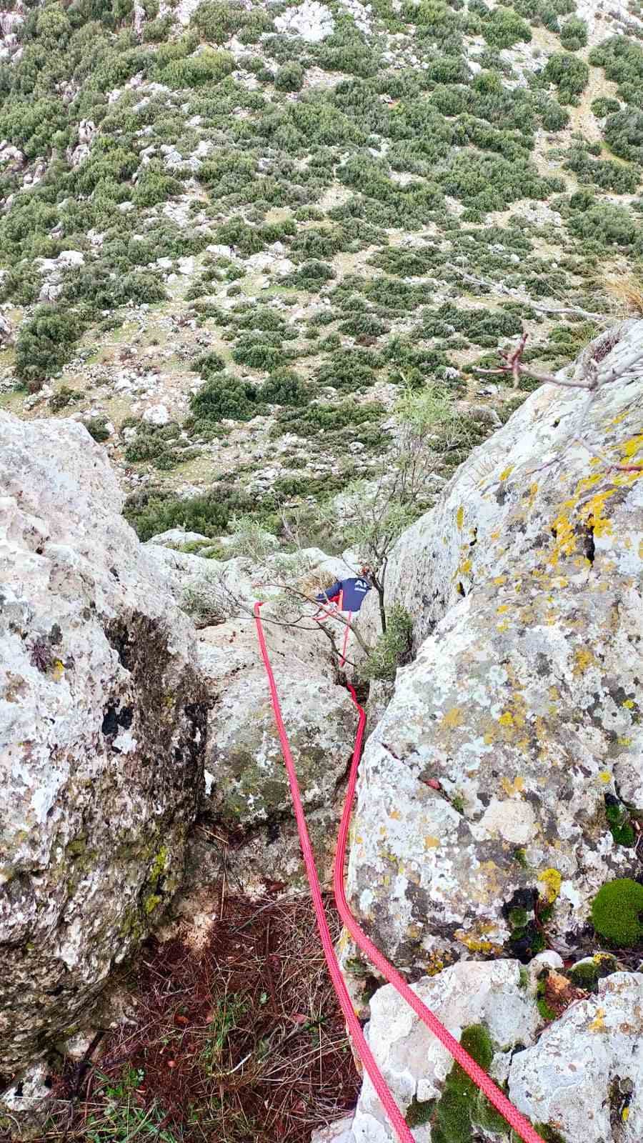 Dağda mahsur kalan keçi ekiplerce kurtarıldı