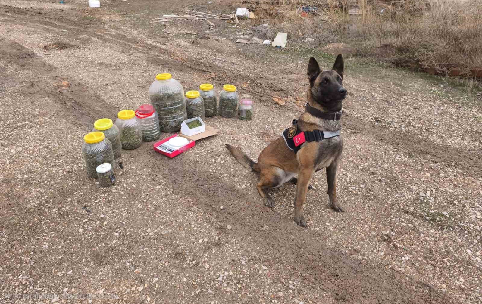 Karaman’da uyuşturucu operasyonu: 1 gözaltı