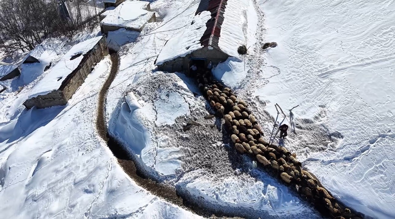 Hakkari’de 1 buçuk metreyi aşan karda çiftçilerin zorlu mesaisi sürüyor