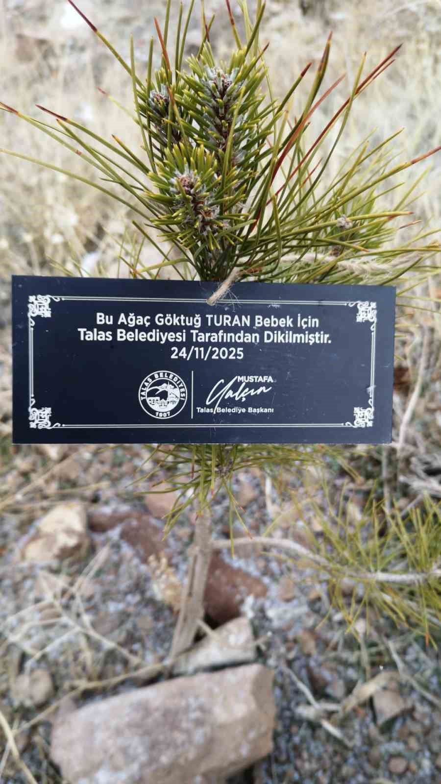 Talas Belediyesi&rsquo;nden geleceğe nefes: Her bebek i&ccedil;in bir fidan
