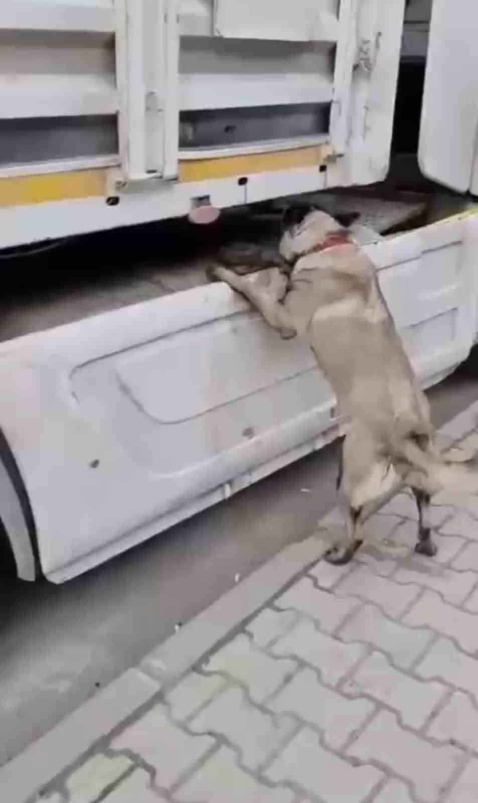 Samsun&rsquo;da tırda metamfetamin ele ge&ccedil;irildi
