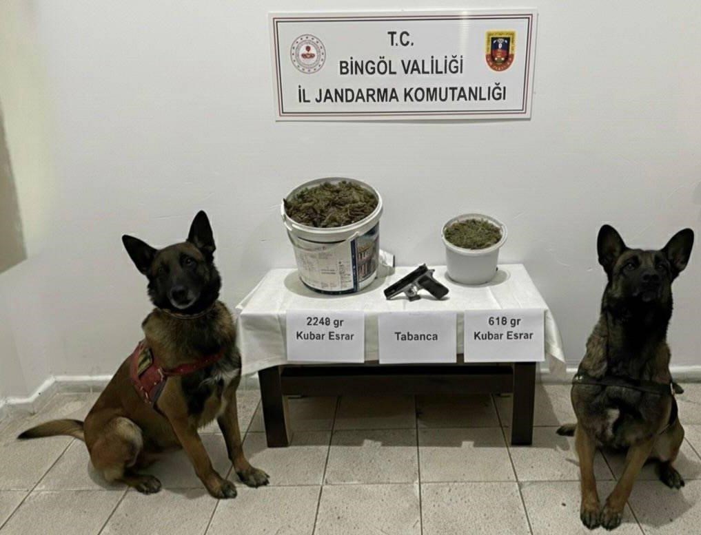 Bingöl’de uyuşturucu operasyonu: 3 gözaltı