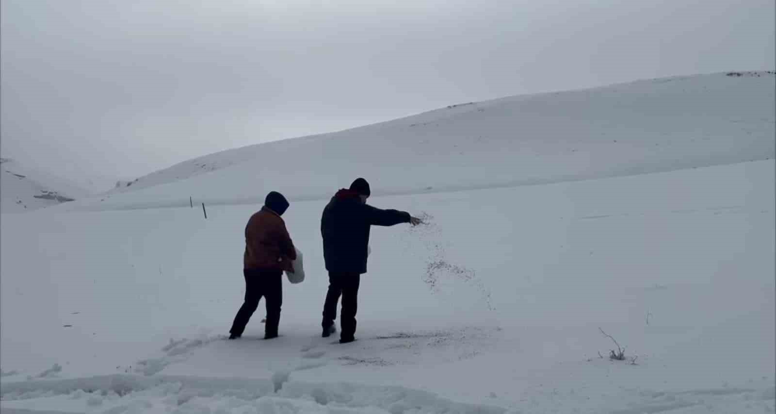 Darende&rsquo;de &ouml;ğretmen ve &ouml;ğrenciler yaban hayvanlarını unutmadı
