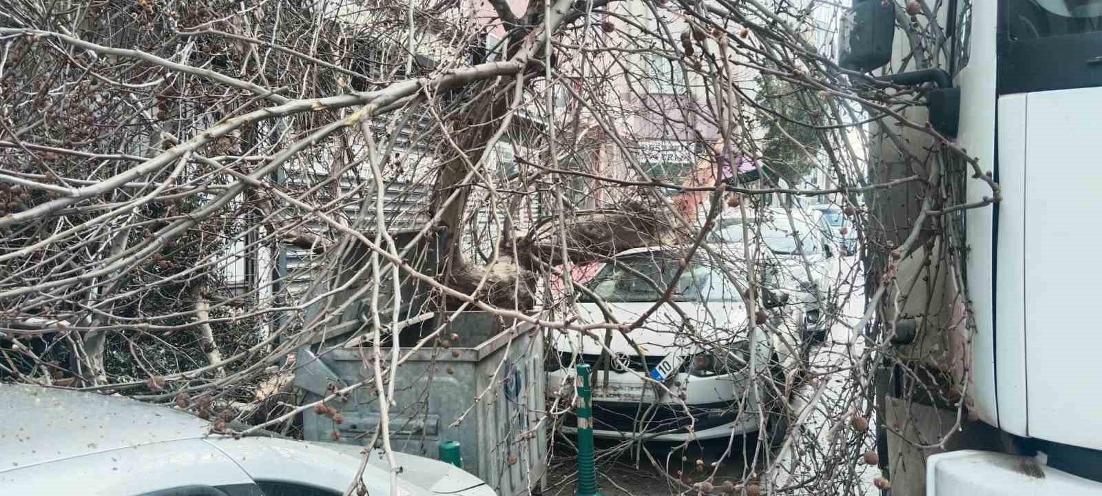 Kamyon çarptı, çınar ağacı araçların üzerine devrildi