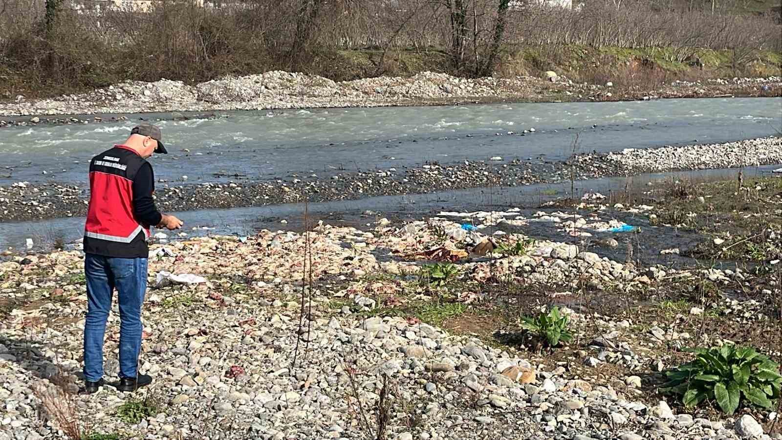 Alaplı&rsquo;da &ccedil;ay yatağında onlarca tavuk &ouml;l&uuml;s&uuml; bulundu
