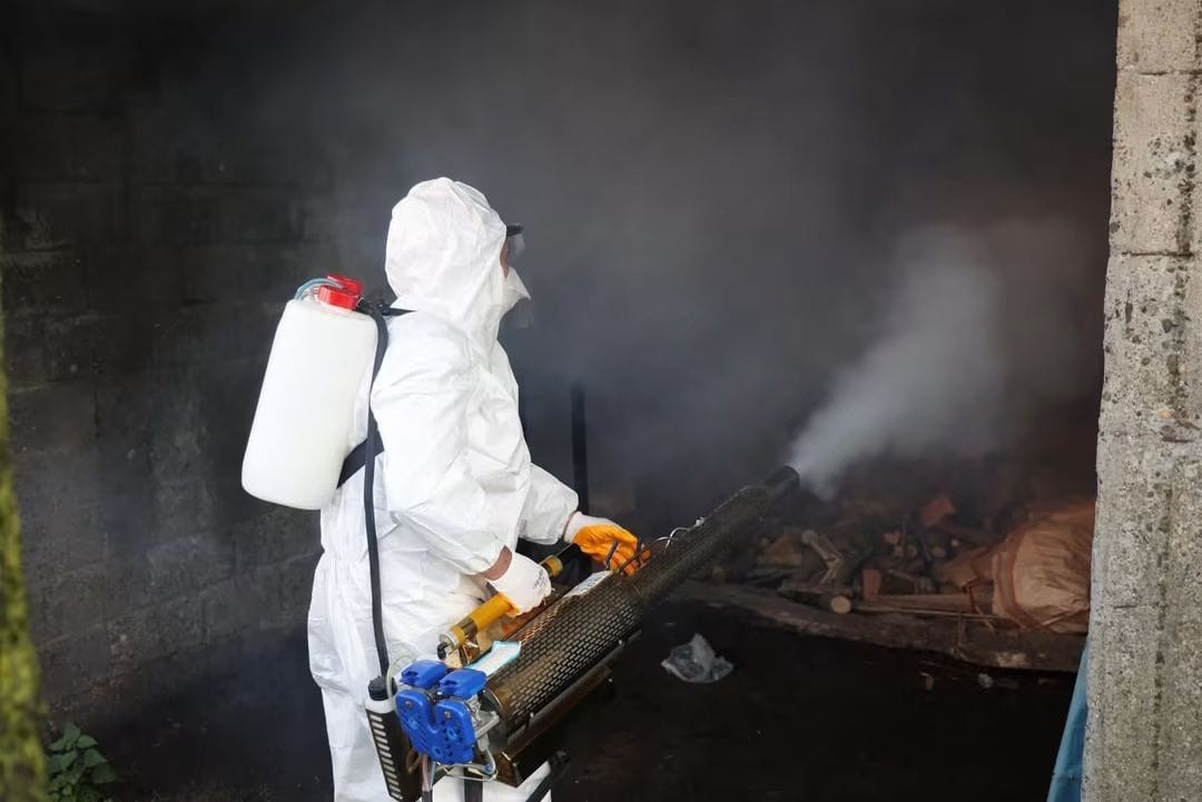 Ordu’da kahverengi kokarcaya karşı 300 binden fazla kışlak ilaçlanıyor