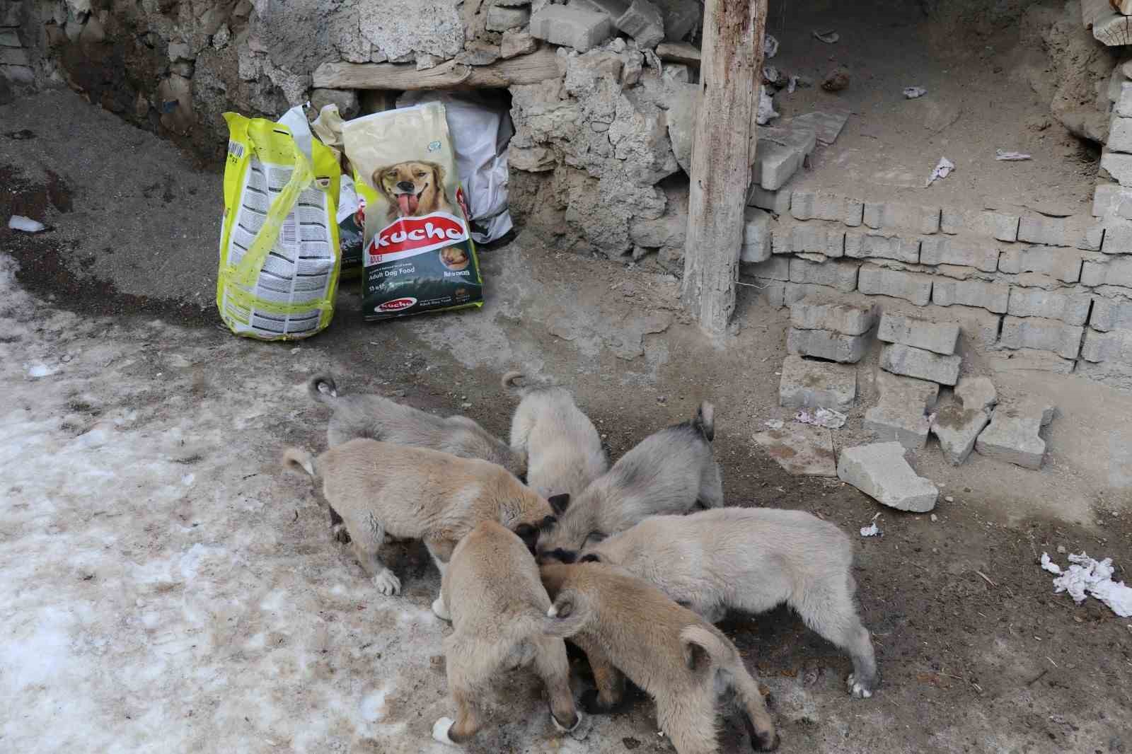 İstanbul’dan Erzurum’a uzanan yardım eli