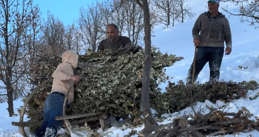Bitlis&rsquo;te hayvanlar i&ccedil;in kızaklı yem mesaisi
