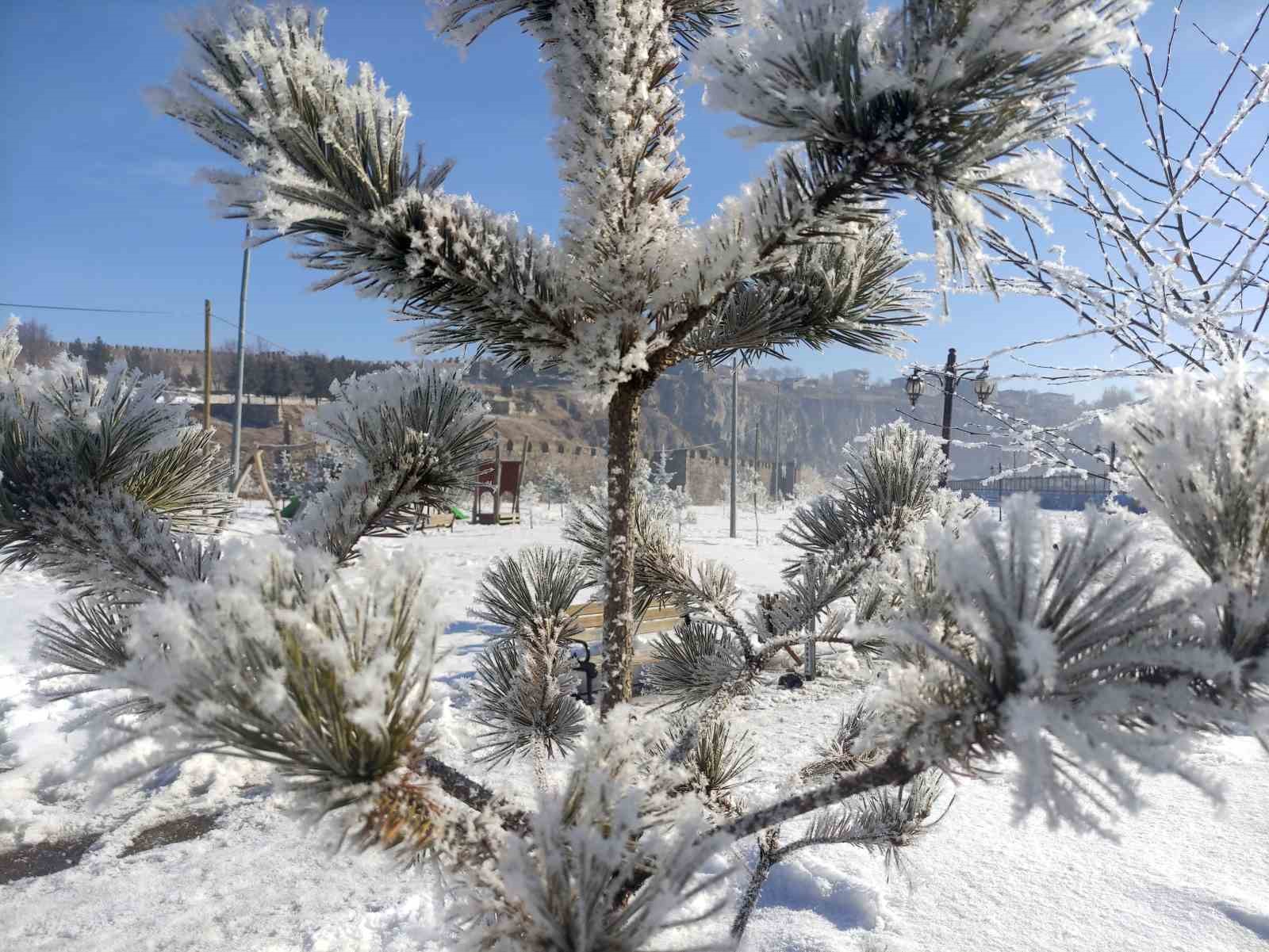 Ardahan&rsquo;da Sibirya soğukları hayatı olumsuz etkiliyor
