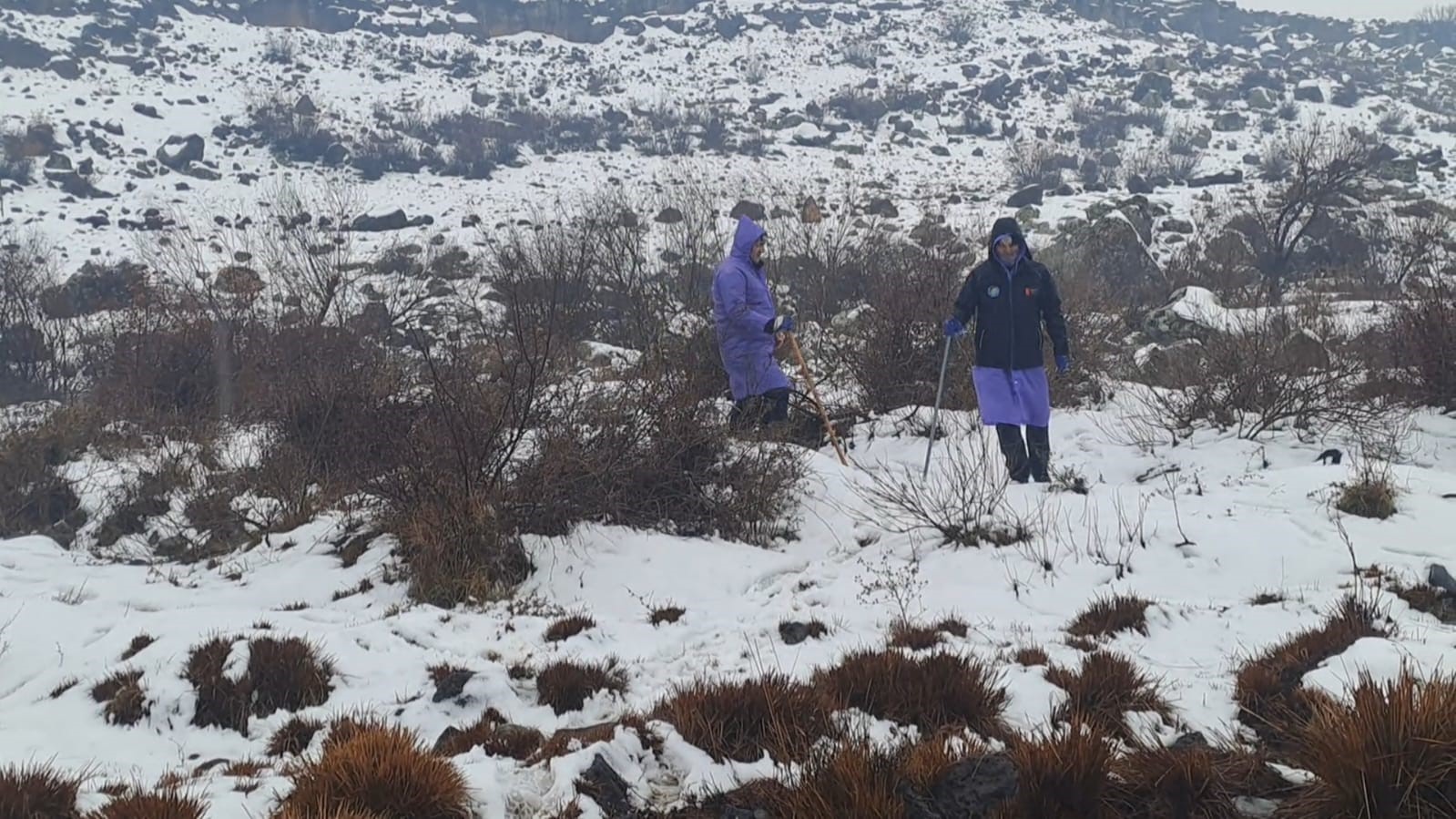 Diyarbakır&rsquo;da kayıp kadından 8 gündür haber alınamıyor