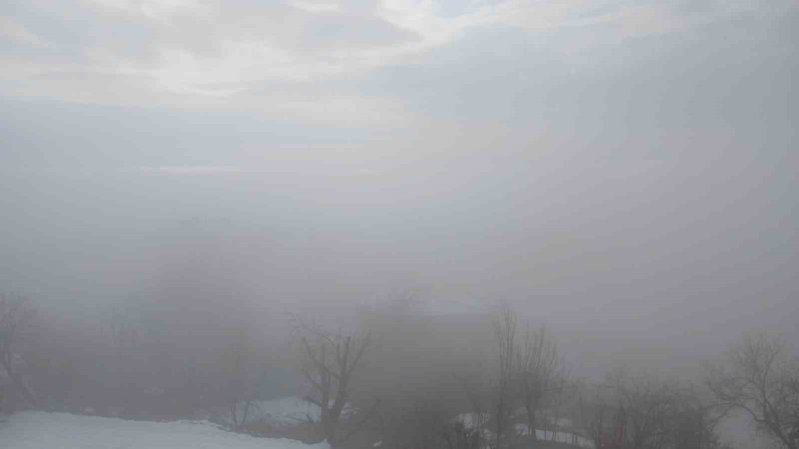 Kulp ilçesinde yoğun sis etkili oldu