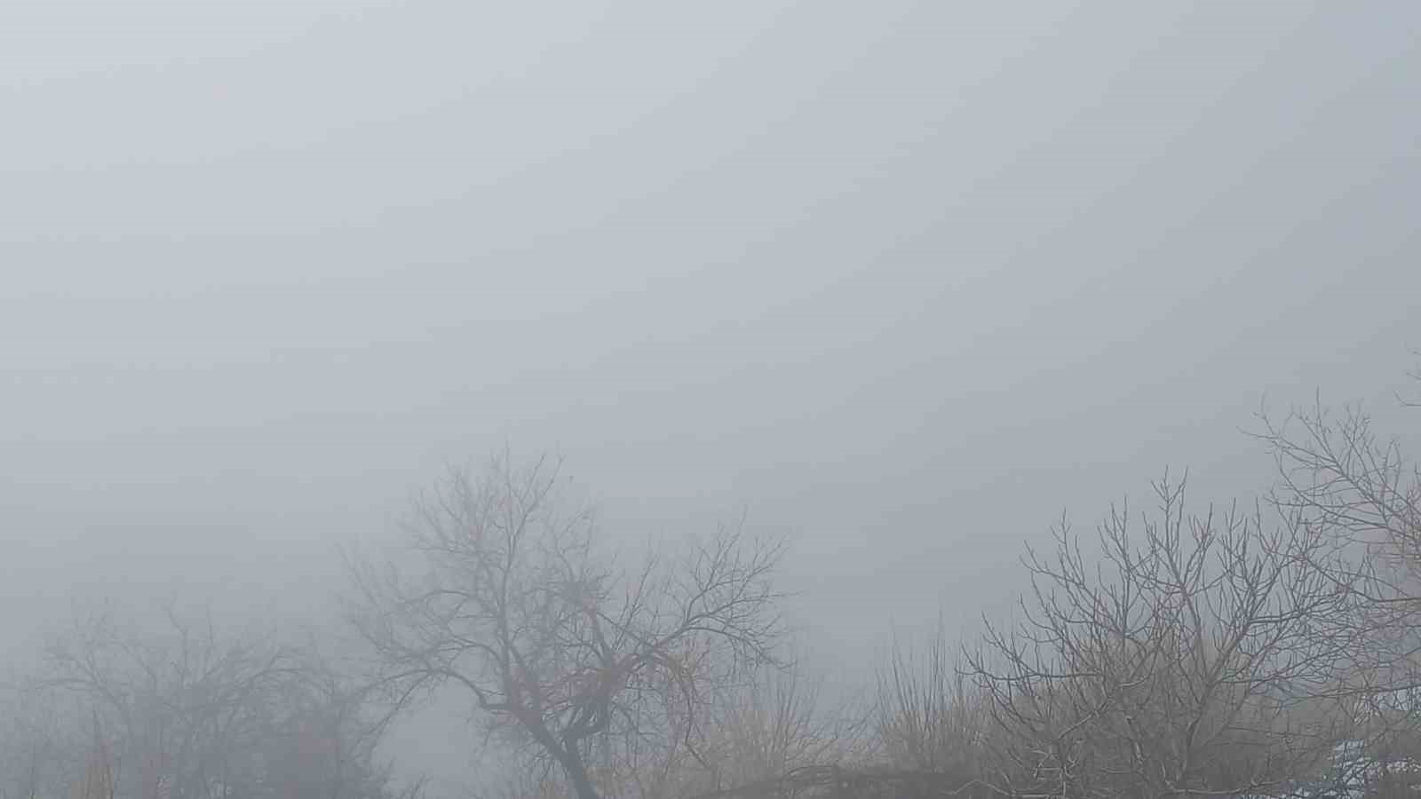 Kulp il&ccedil;esinde yoğun sis etkili oldu
