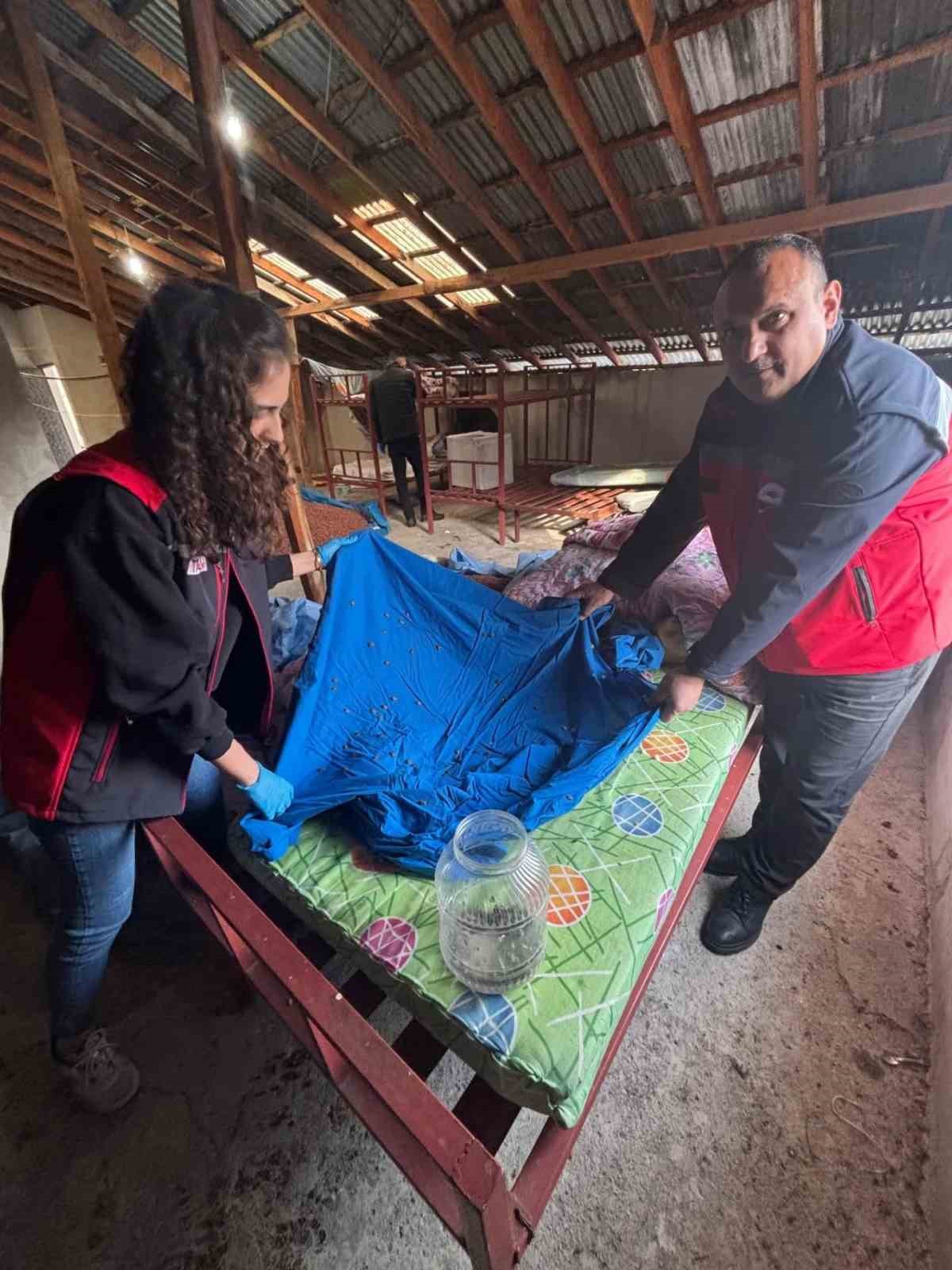 Samuray arısı &uuml;retiminde kullanılmak &uuml;zere kahverengi kokarca topluyorlar
