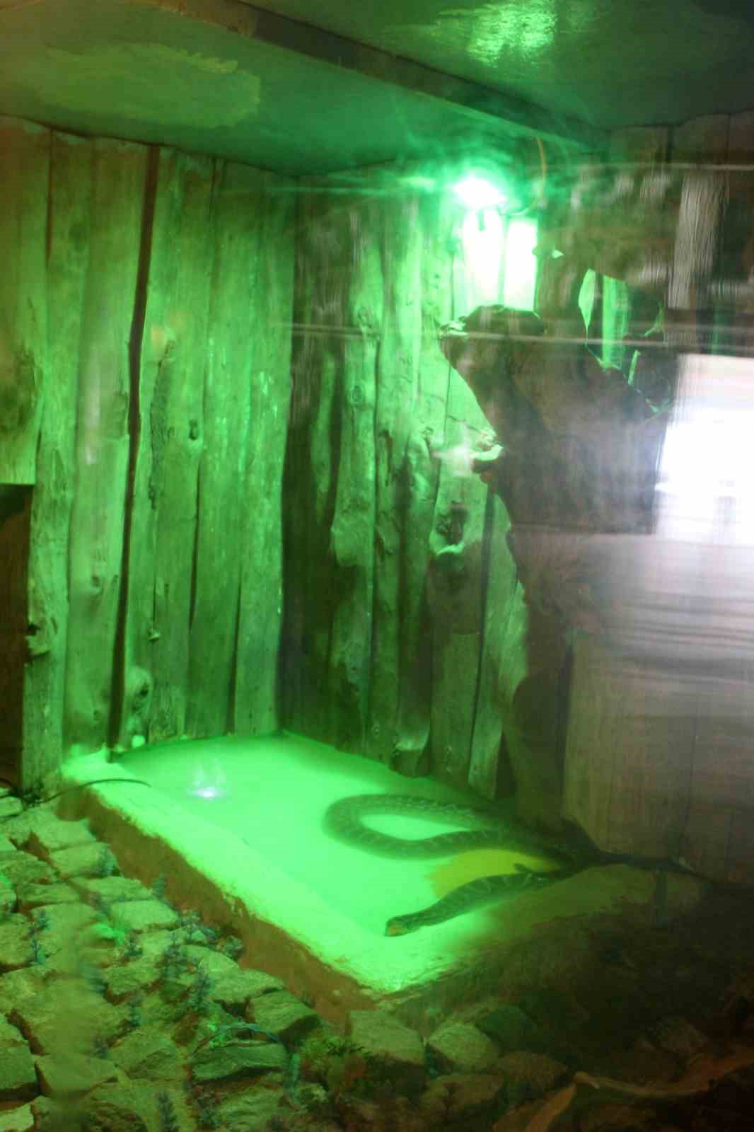 Kayseri Hayvanat Bah&ccedil;esi&rsquo;nde tropikal iklim hayvanları &ouml;zel sistemlerle ısıtılıyor
