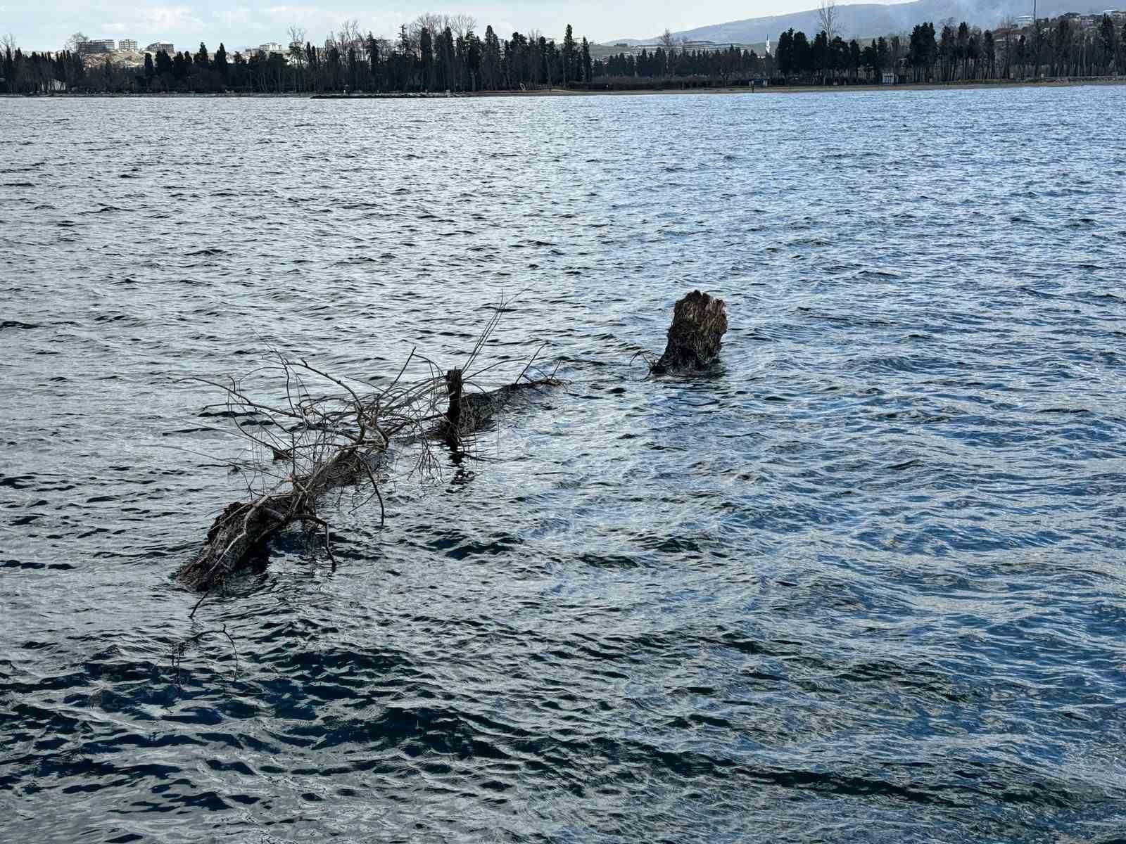 Marmara Denizi&rsquo;nde feribot trafiği i&ccedil;in tehlike oluşturan y&uuml;zen ağa&ccedil; kıyıya &ccedil;ekildi
