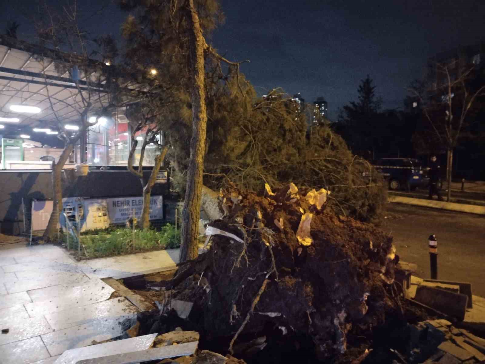 Ataşehir’de fırtına nedeniyle ağaç devrildi