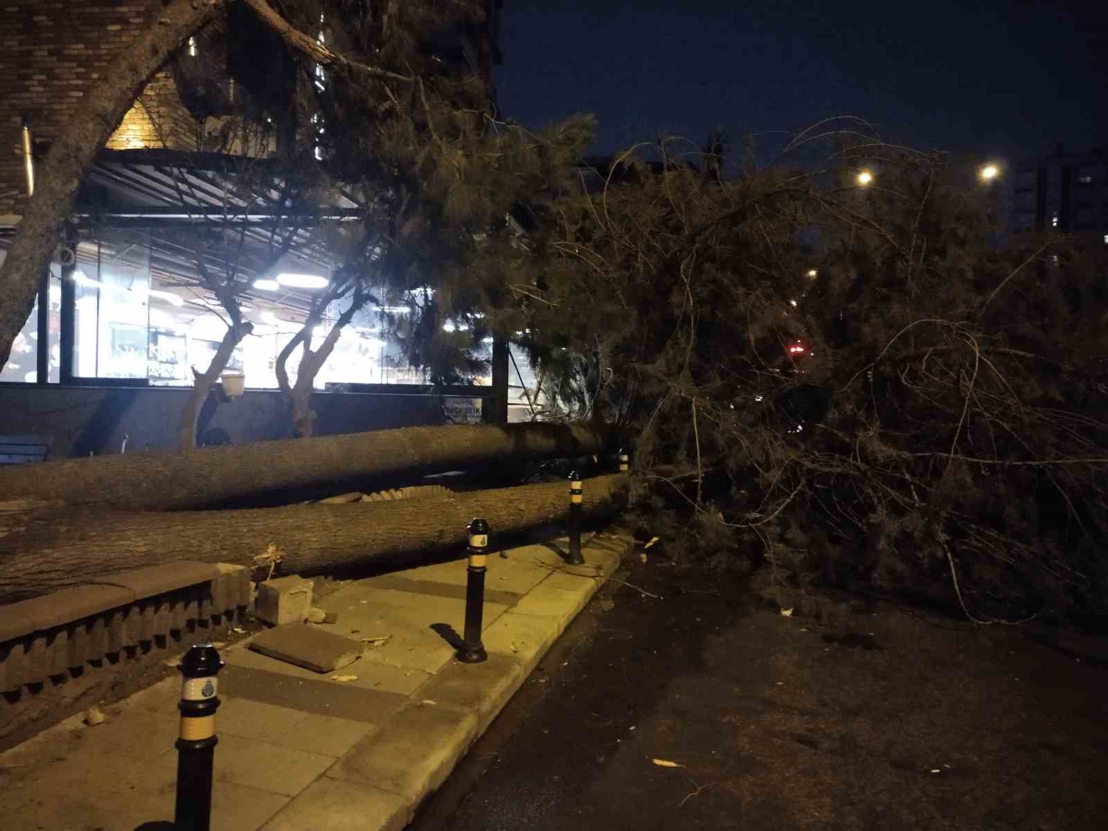 Ataşehir&rsquo;de fırtına nedeniyle ağa&ccedil; devrildi
