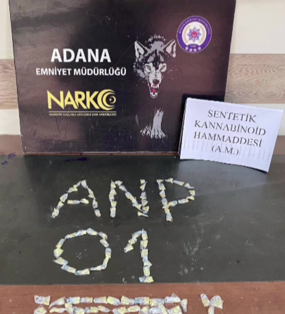 Evinde kilolarca bonzai yapacak hammadde ele ge&ccedil;irildi: "Uygun bulunca toplu alıyorum, i&ccedil;iciyim" dedi
