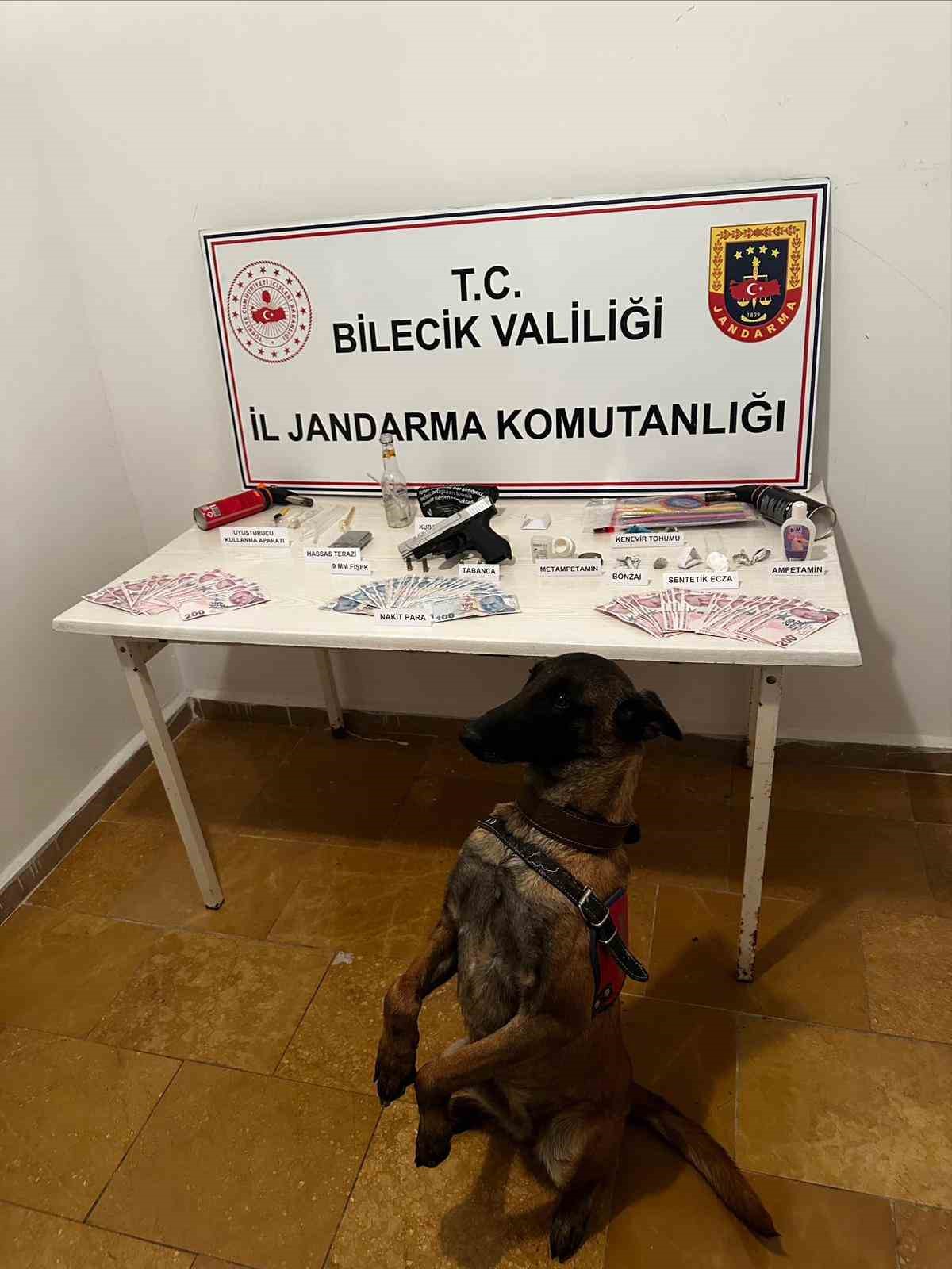 Bilecik&rsquo;te uyuşturucu ve silah ele ge&ccedil;irildi
