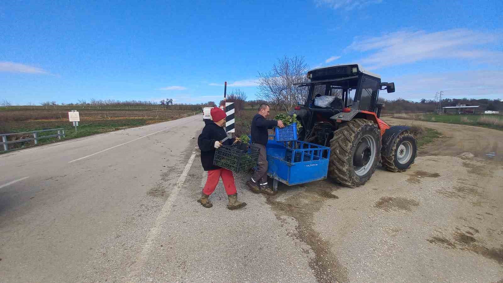 Toprağa emek, &ccedil;ocuklara gelecek: Karı-koca d&ouml;rt mevsim tarlada &ccedil;alışıyor
