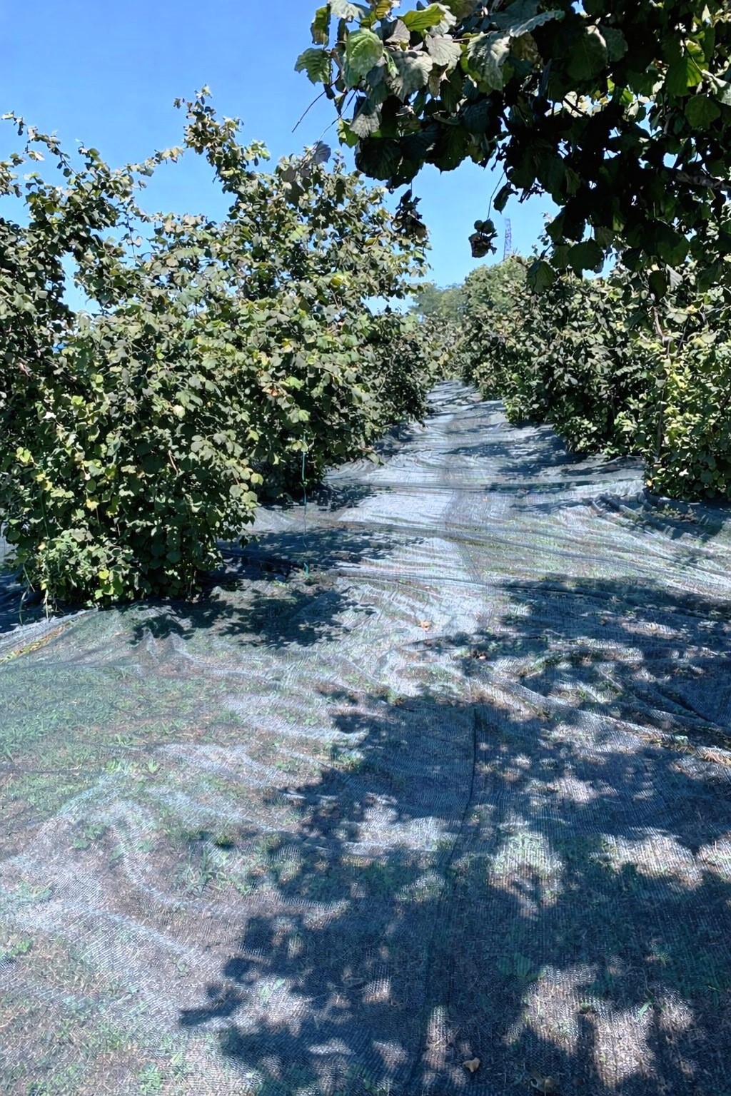 Kırsalda &uuml;retime 33,6 milyon liralık can suyu
