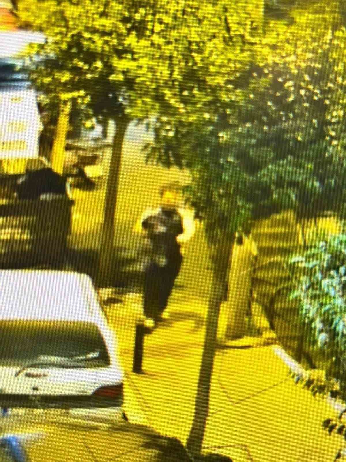 Kayıp olarak aranan &uuml;niversite &ouml;ğrencisi Deniz İbişler&rsquo;in denize atladığı g&ouml;r&uuml;nt&uuml;ler ortaya &ccedil;ıktı
