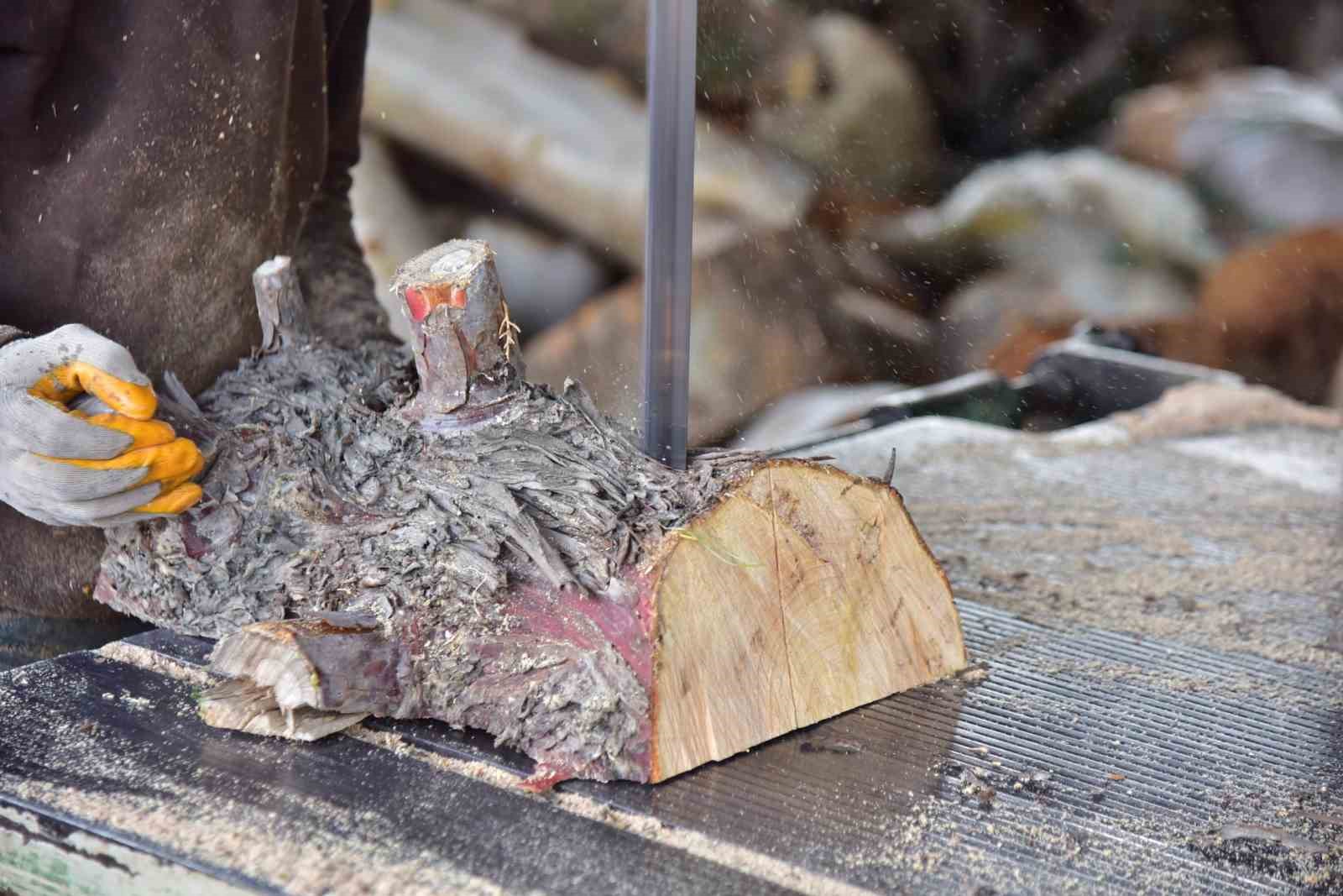 İncirliova Belediyesi&rsquo;nden ailelere yakacak desteği
