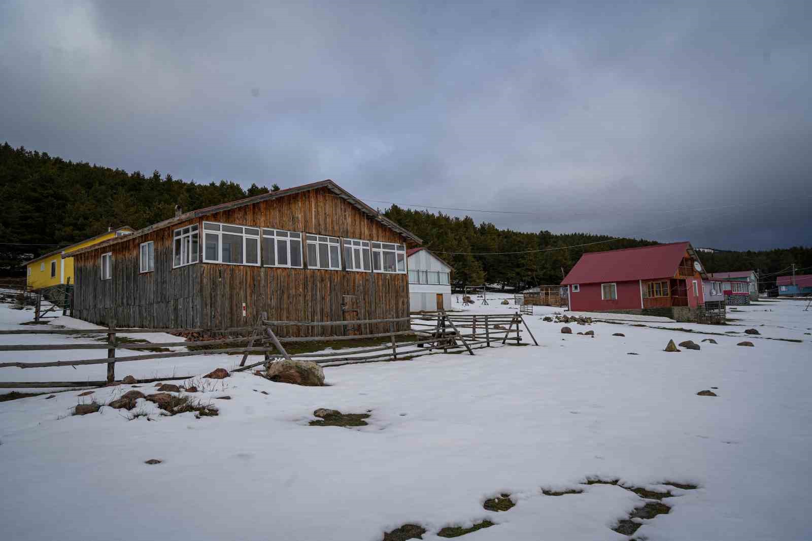 Başkent’in Karadeniz’i Benli Yaylası eşsiz doğasıyla ziyaretçilerini bekliyor
