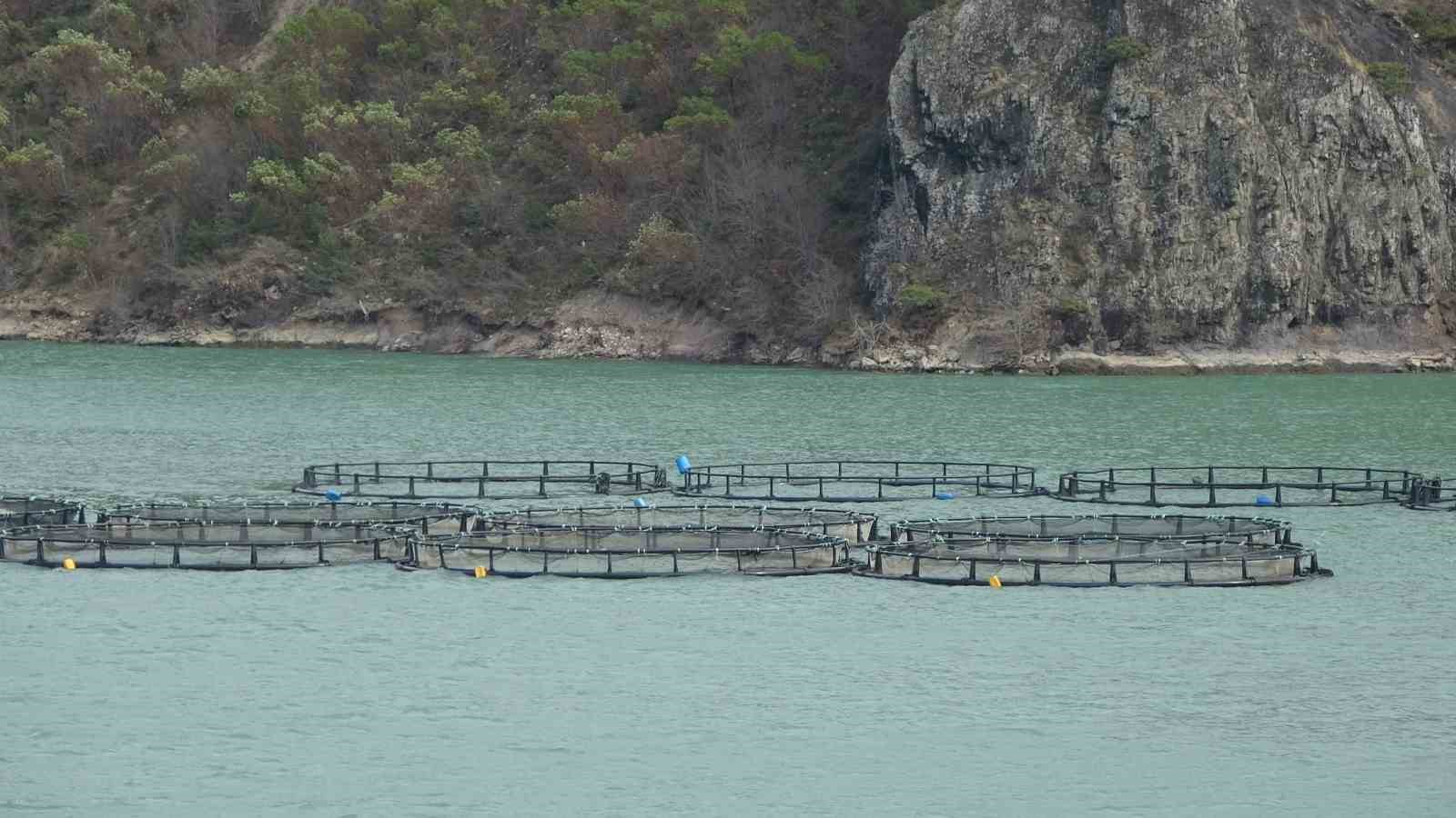 Bakan Yumaklı: "T&uuml;rk somonu ihracatı 500 milyon dolara ulaştı"
