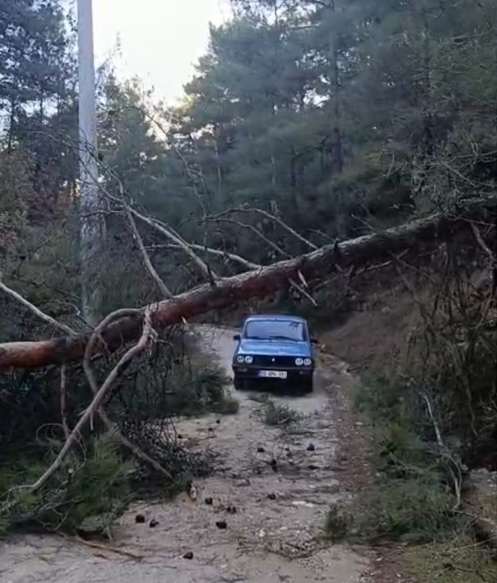Buldan&rsquo;da fırtınadan devrilen ağa&ccedil;lar yolu kapattı
