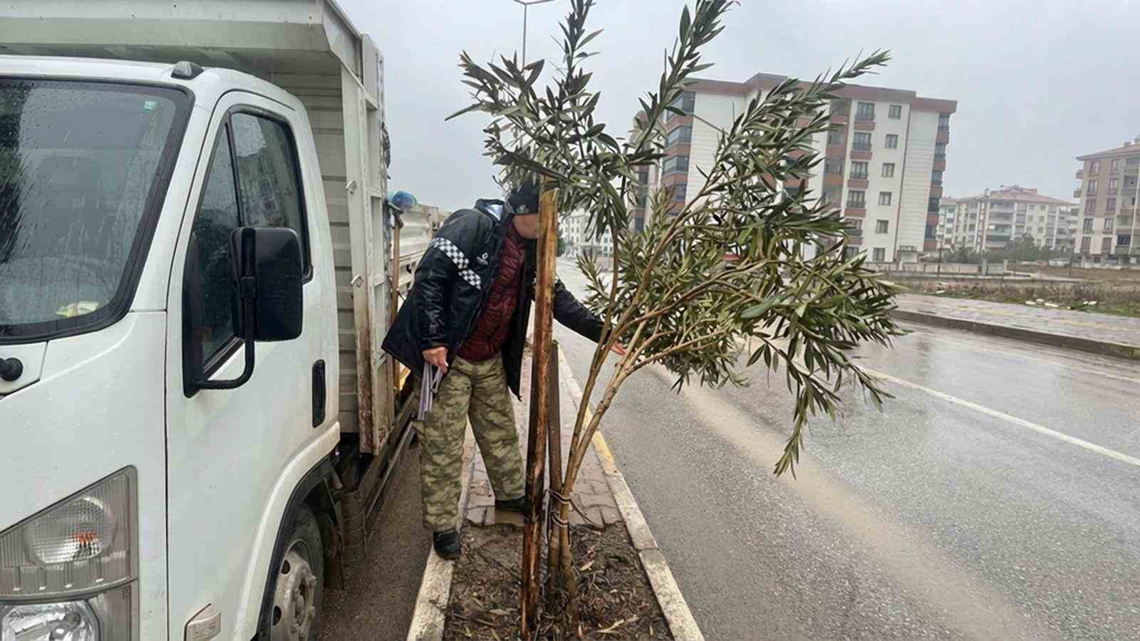 Yeşil alanlarda mevsimlik bakım ve g&uuml;&ccedil;lendirme seferberliği
