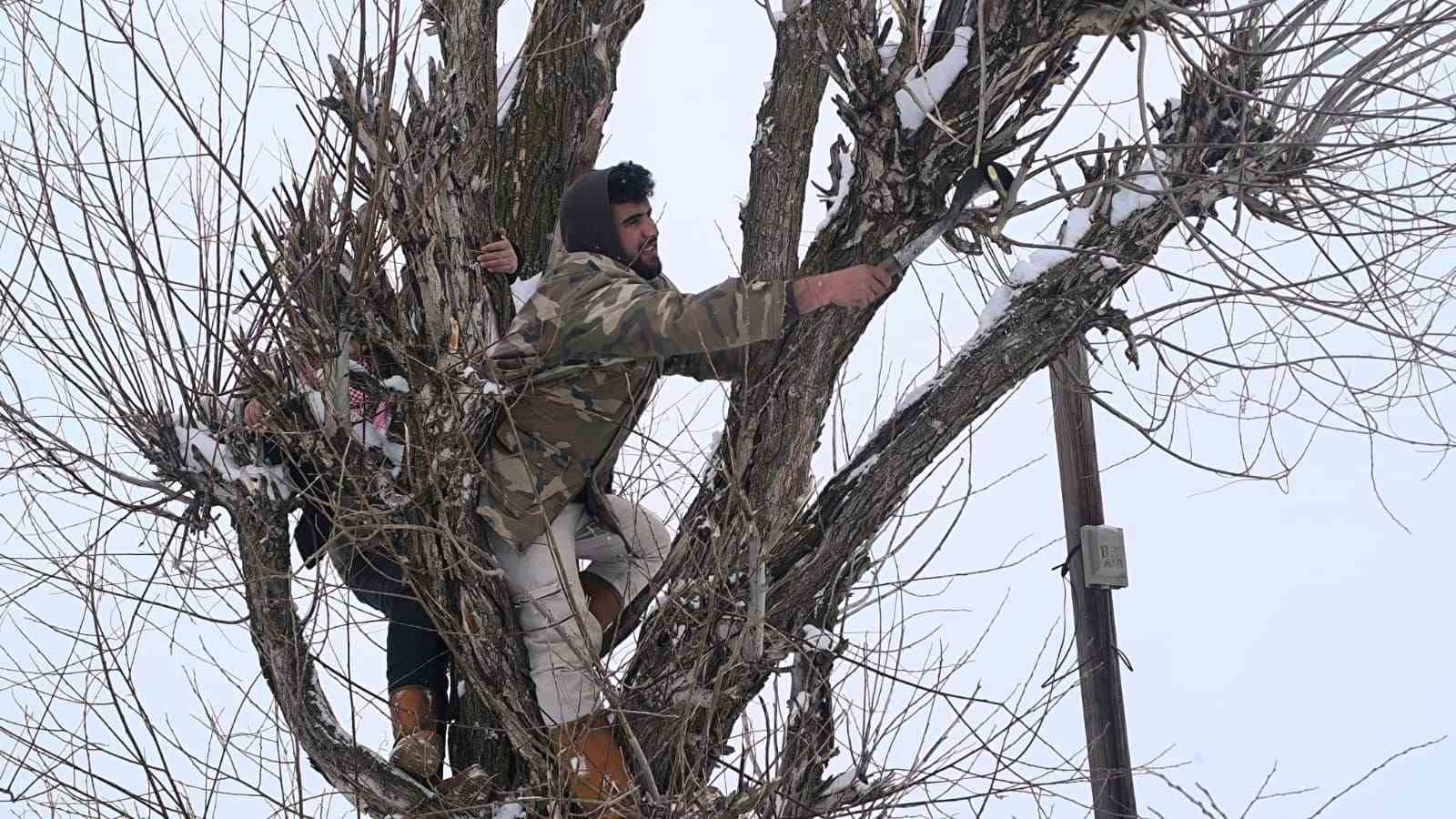 Muş’ta besicilerden alternatif yem yöntemi