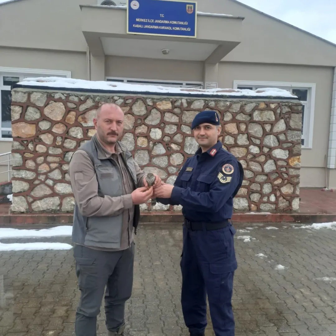Sinop’ta jandarma ekipleri yaralı kuşa umut oldu