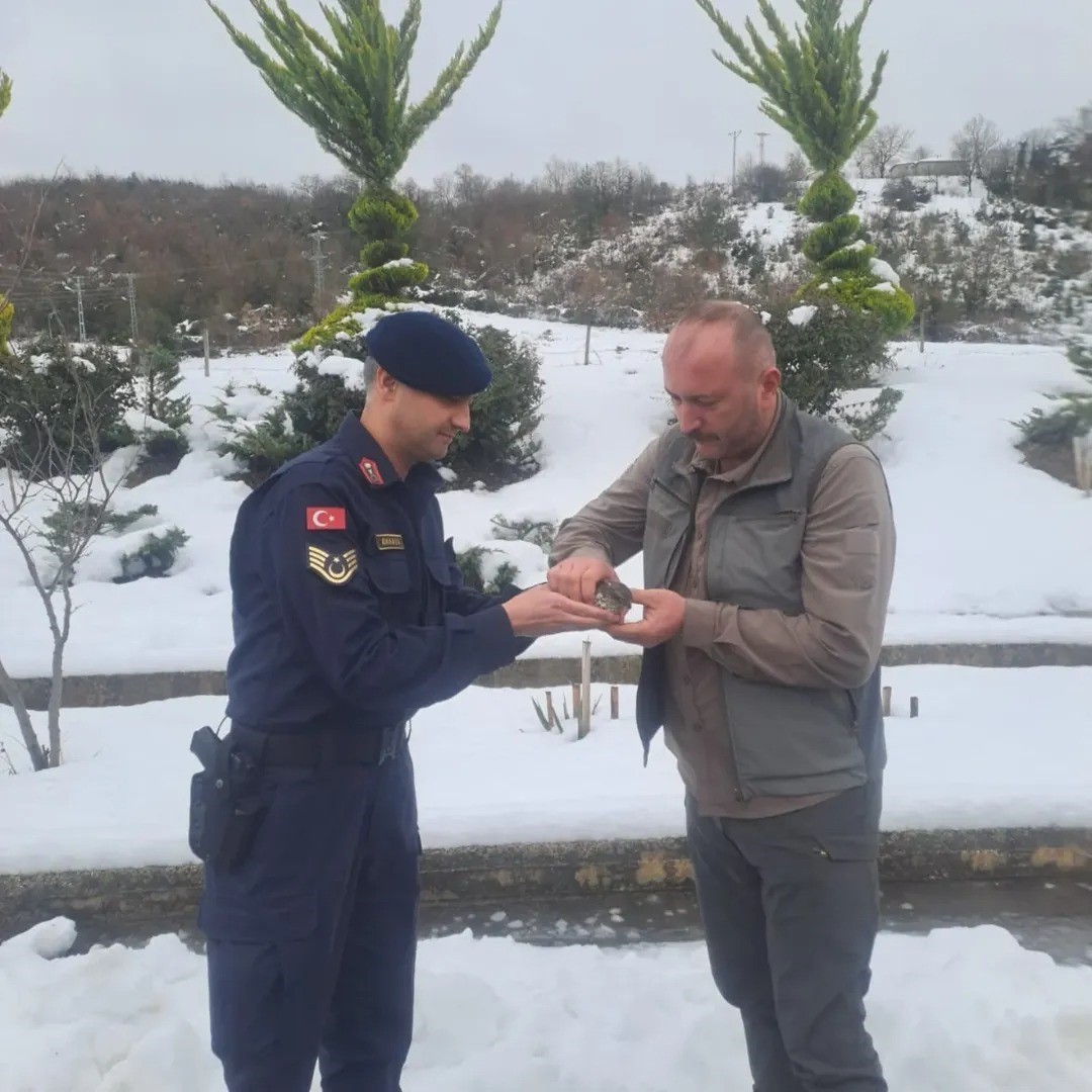 Sinop&rsquo;ta jandarma ekipleri yaralı kuşa umut oldu
