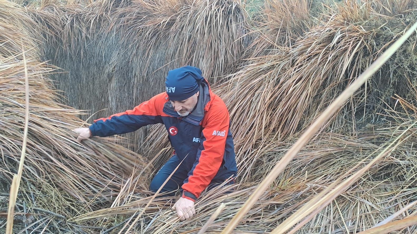 379 kişi iz takip ve kadavra köpeğiyle kayıp kadını arıyor