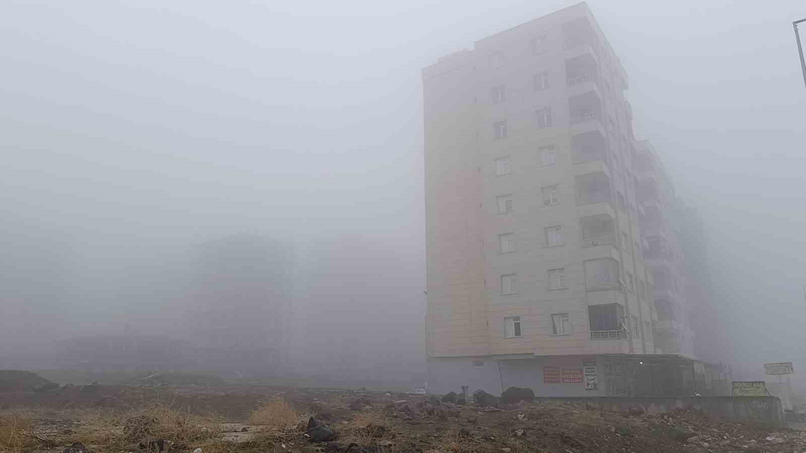 Şanlıurfa&rsquo;da yoğun sis ve yağmur etkili oluyor
